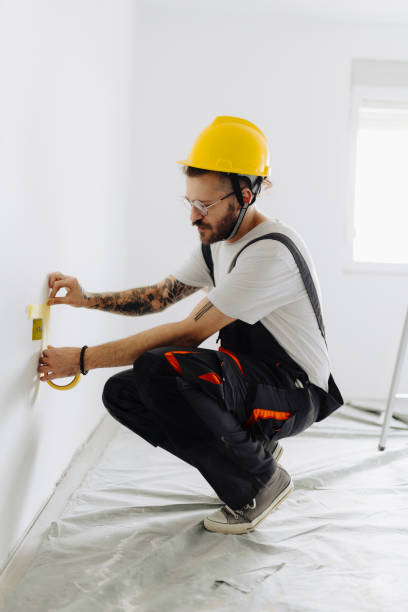 Best Drywall Removal and Disposal  in Rainsville, AL